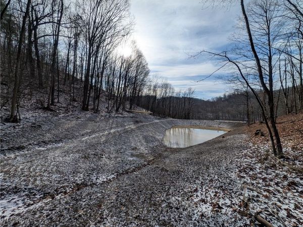 1054 Bergholz Road SE, Mechanicstown, OH 43908