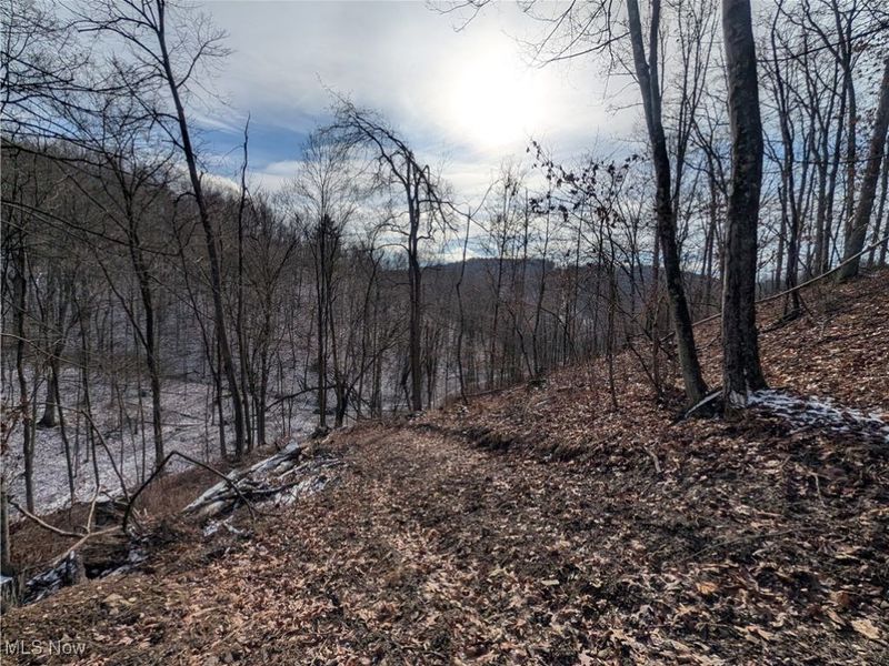 1054 Bergholz Road SE, Mechanicstown, OH 43908 Photo 19