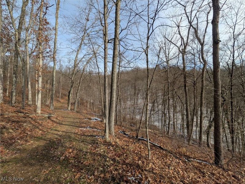 1054 Bergholz Road SE, Mechanicstown, OH 43908 Photo 20