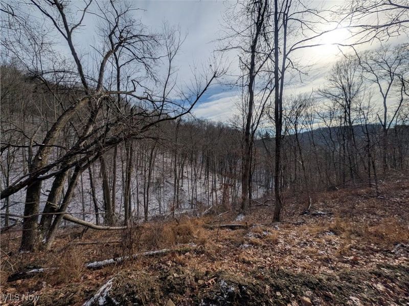 1054 Bergholz Road SE, Mechanicstown, OH 43908 Photo 21