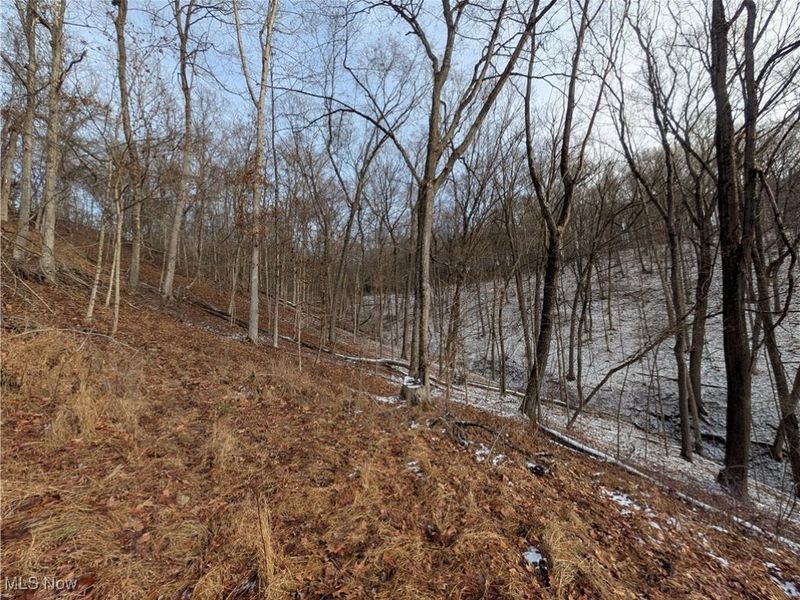 1054 Bergholz Road SE, Mechanicstown, OH 43908 Photo 22