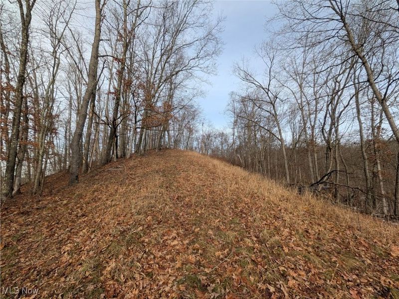 1054 Bergholz Road SE, Mechanicstown, OH 43908 Photo 23