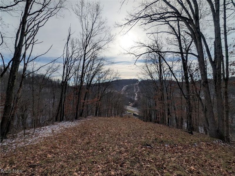 1054 Bergholz Road SE, Mechanicstown, OH 43908 Photo 24