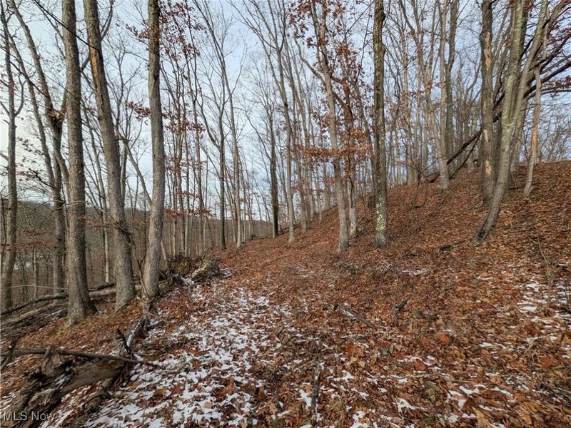 1054 Bergholz Road SE, Mechanicstown, OH 43908 Photo 25