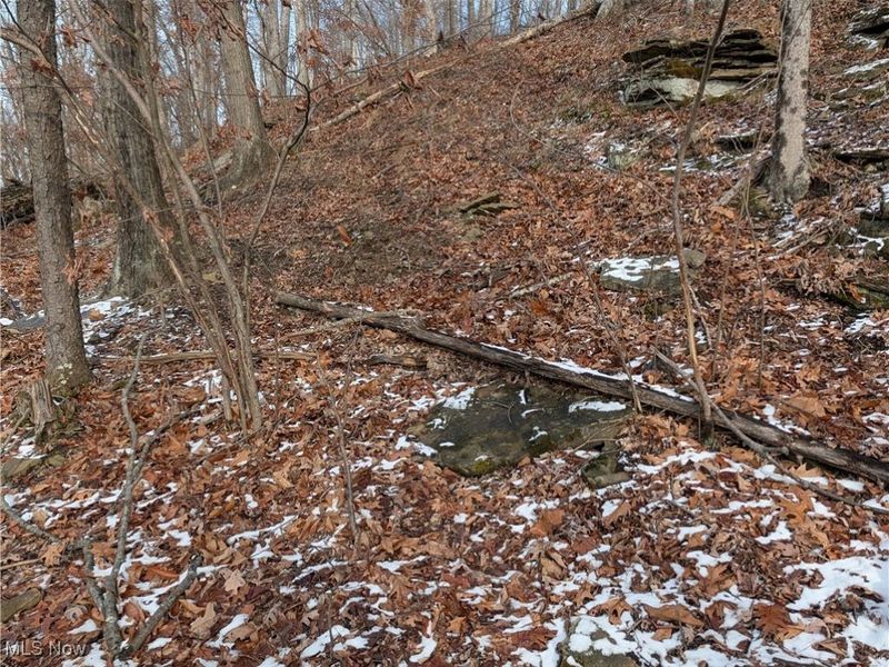 1054 Bergholz Road SE, Mechanicstown, OH 43908 Photo 26