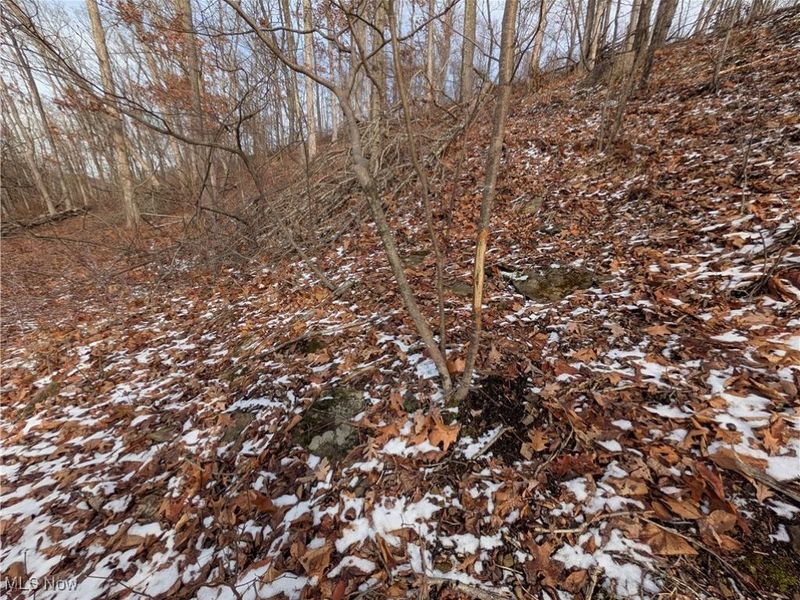 1054 Bergholz Road SE, Mechanicstown, OH 43908 Photo 27