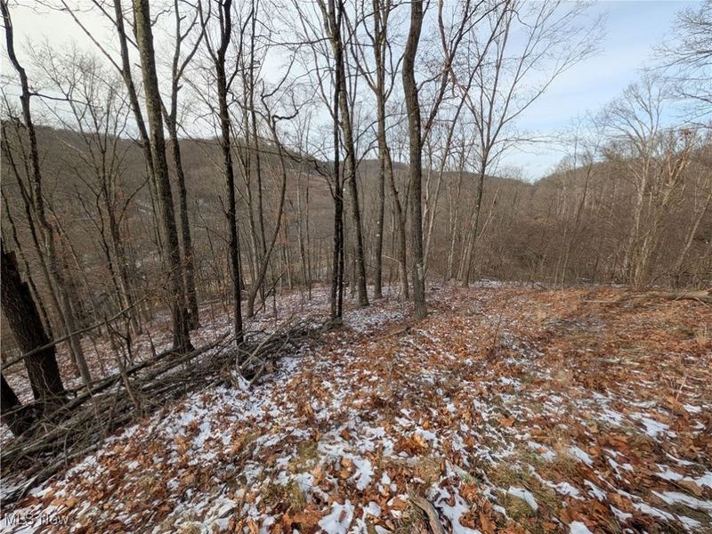 1054 Bergholz Road SE, Mechanicstown, OH 43908 Photo 28