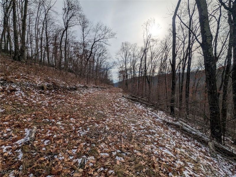 1054 Bergholz Road SE, Mechanicstown, OH 43908 Photo 29