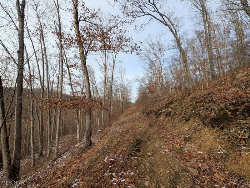 1054 Bergholz Road SE, Mechanicstown, OH 43908 Photo 31