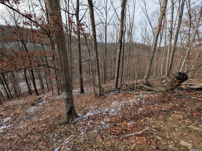 1054 Bergholz Road SE, Mechanicstown, OH 43908 Photo 32