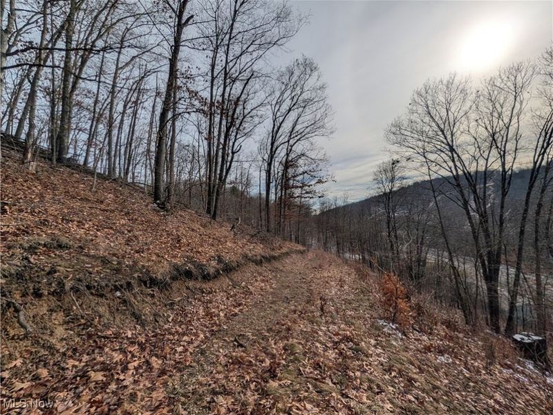 1054 Bergholz Road SE, Mechanicstown, OH 43908 Photo 33