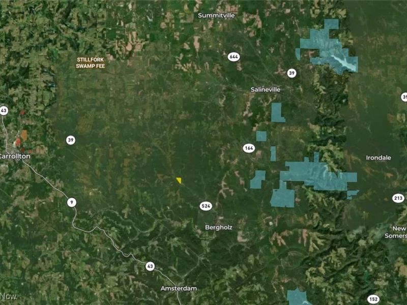 1054 Bergholz Road SE, Mechanicstown, OH 43908 Photo 40