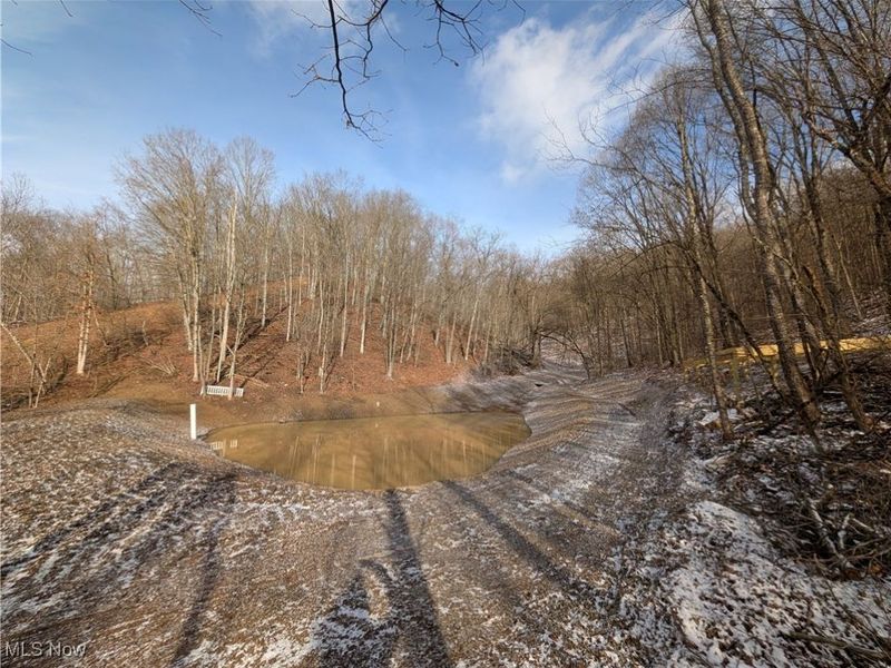 1054 Bergholz Road SE, Mechanicstown, OH 43908 Photo 5