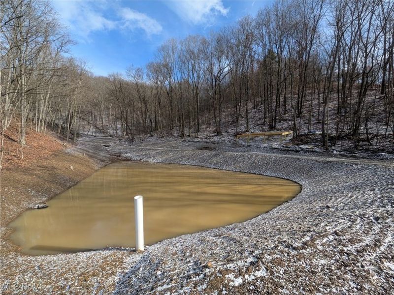 1054 Bergholz Road SE, Mechanicstown, OH 43908 Photo 6