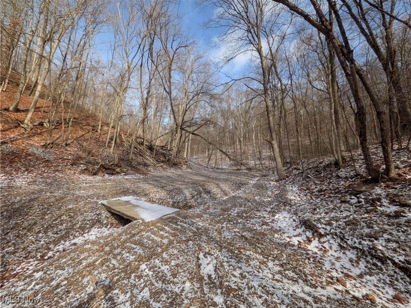 1054 Bergholz Road SE, Mechanicstown, OH 43908 Photo 7