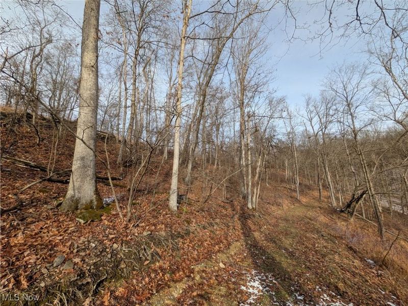 1054 Bergholz Road SE, Mechanicstown, OH 43908 Photo 8