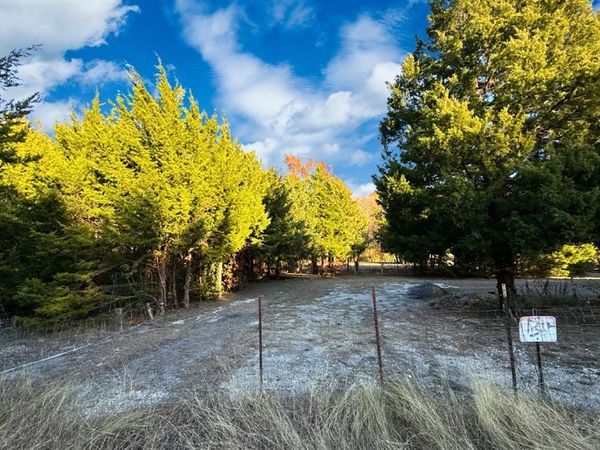 TBD County Road 919, Unit Lot 23A, Nevada, TX 75173