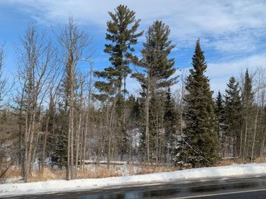 TBD Hwy. 22 , Cook, MN 55703