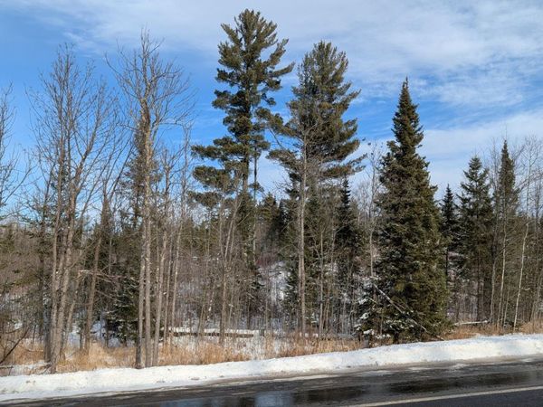TBD Hwy. 22 , Cook, MN 55703
