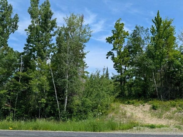 TBD Hwy. 22, Cook, MN 55703