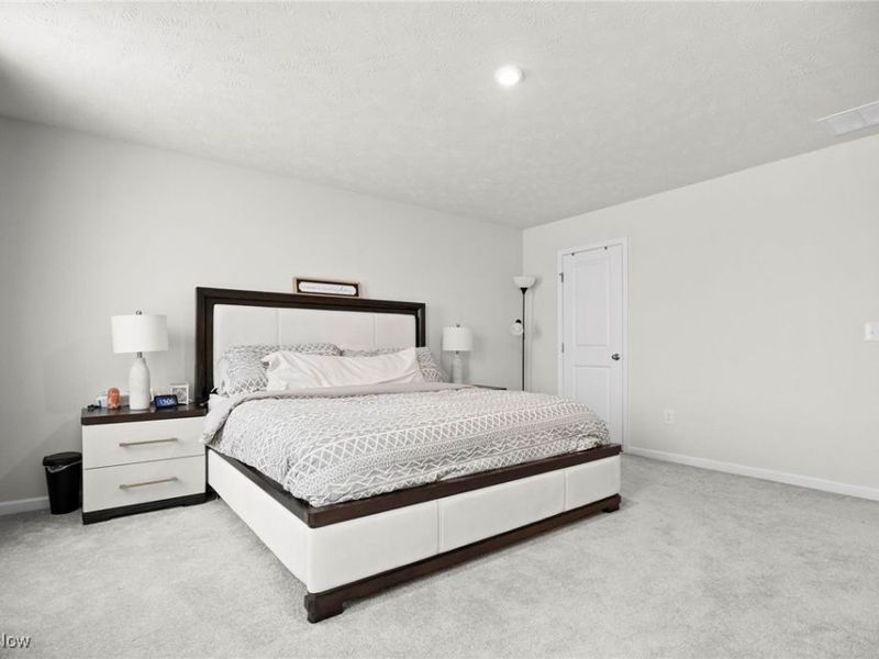 214 Leather Leaf Drive, Elyria, OH 44035 Photo 18