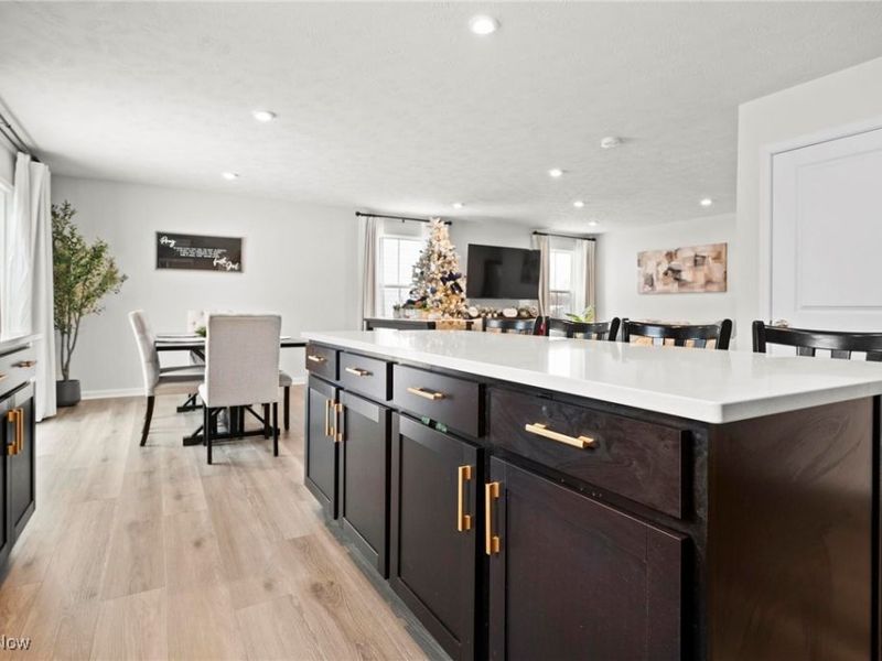 214 Leather Leaf Drive, Elyria, OH 44035 Photo 4