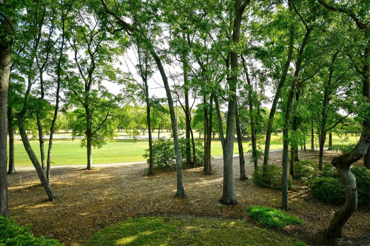 273 Golden Bear Dr. Photo 33