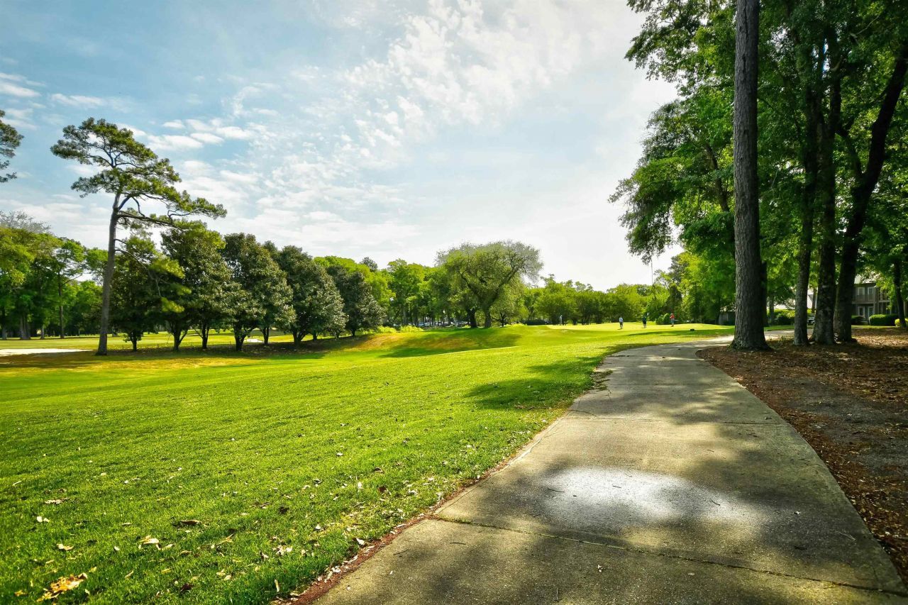 273 Golden Bear Dr. Photo 34