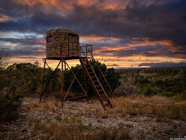 25 SD 65065 Dusty Rose Ranch, Rocksprings, TX 78880