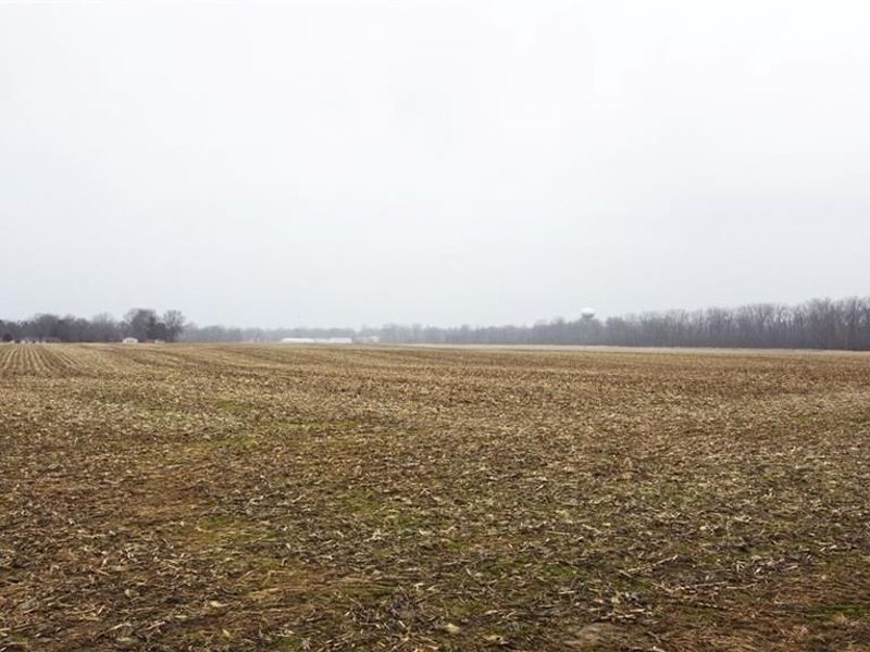 3448 Turnbull Road, Cedarville Township, OH 45314 Photo 2