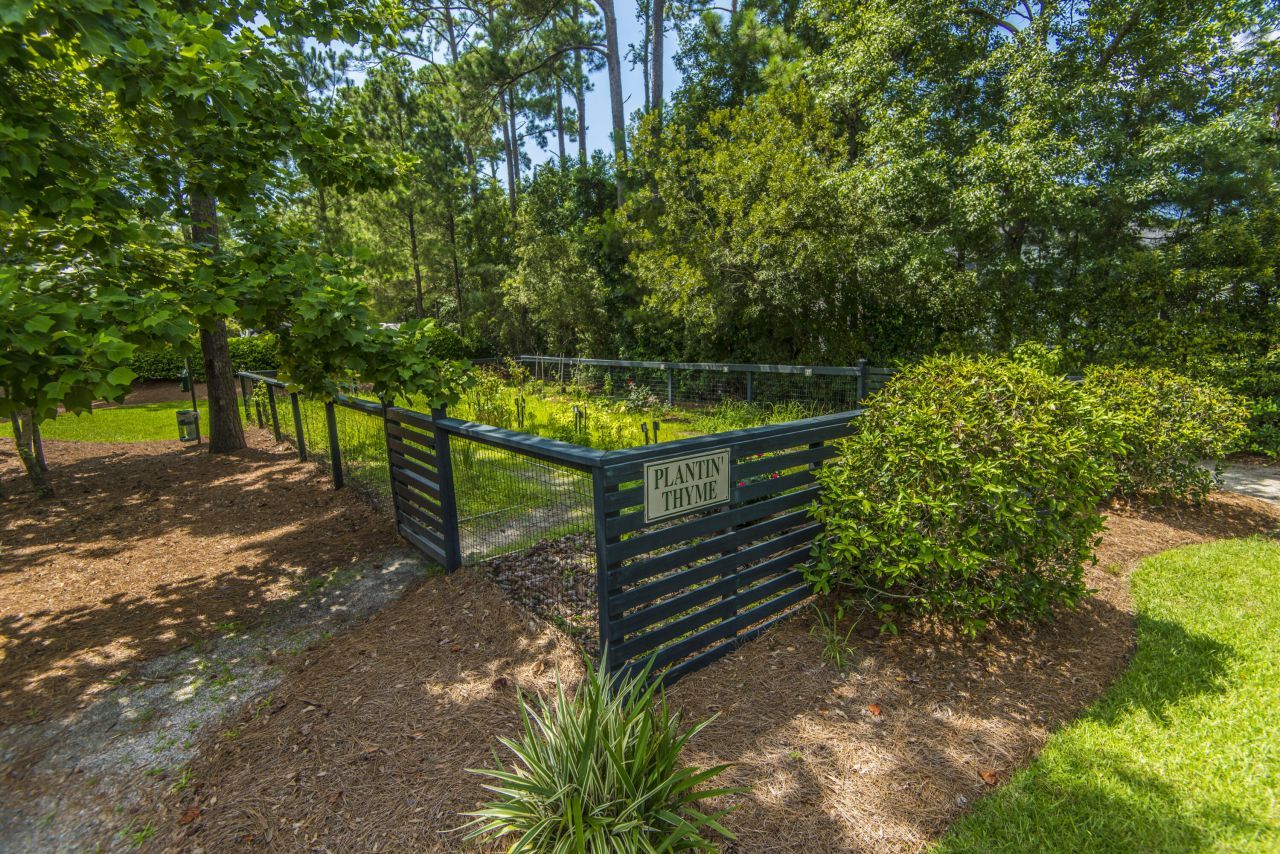 1319 Basildon Road Photo 30