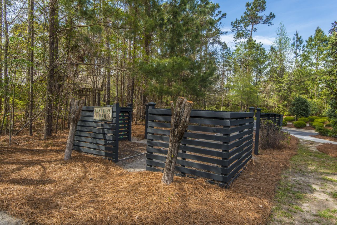 1319 Basildon Road Photo 51