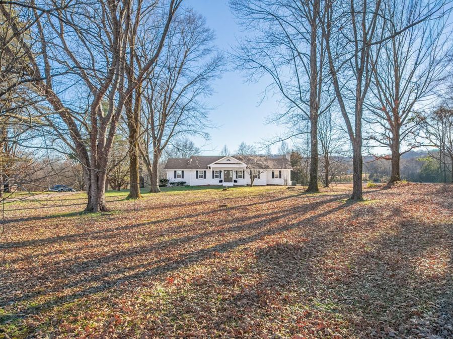 Property Image 60