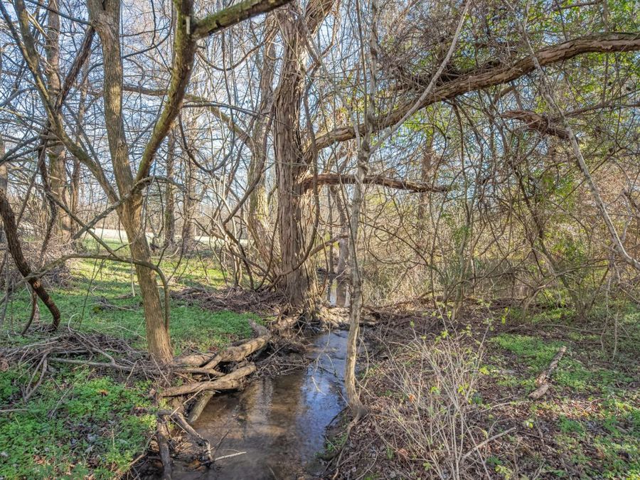 Property Image 61