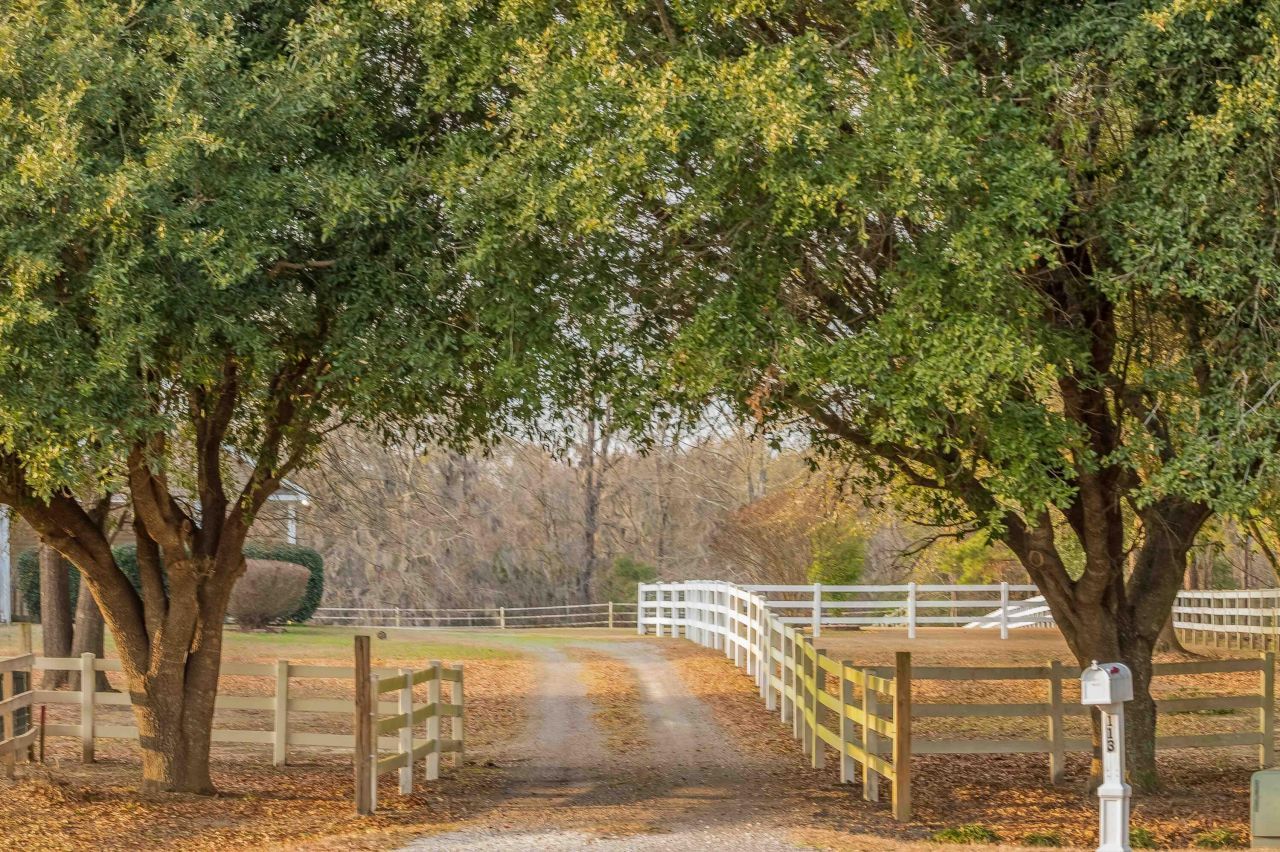 113 Rookery Court Photo 6