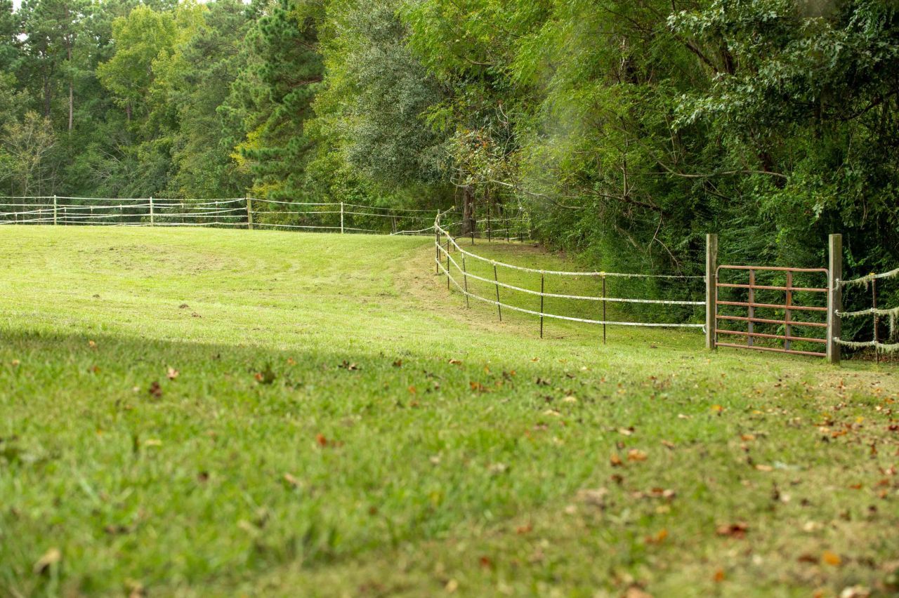 113 Rookery Court Photo 60