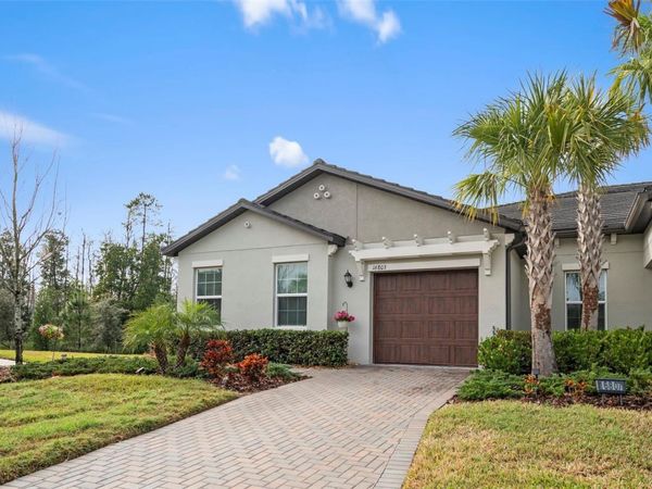 16803 FORGE SURF STREET, LAND O LAKES, FL 34638