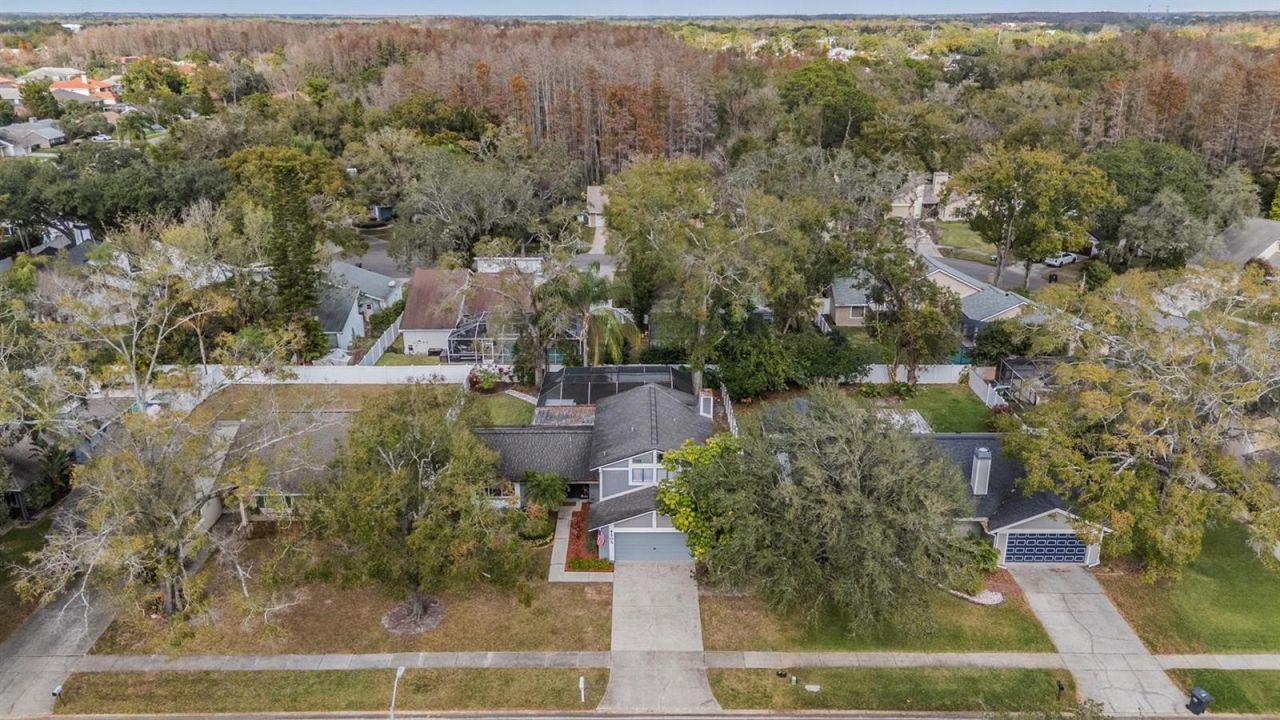4505 Old Saybrook Avenue, Tampa, FL 33624 Photo