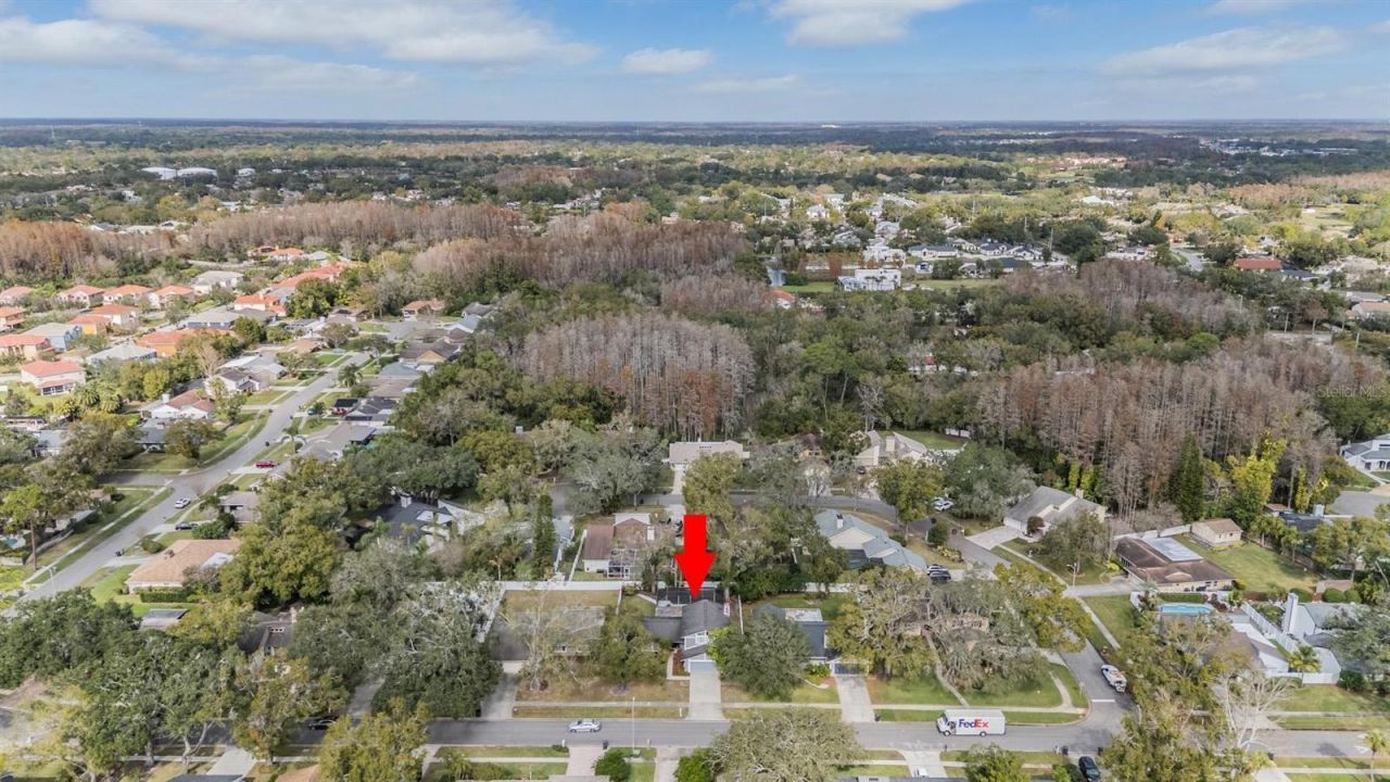 4505 Old Saybrook Avenue, Tampa, FL 33624 Photo