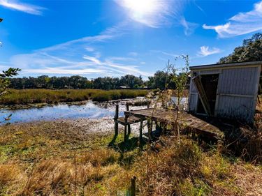 24971 NE 135TH STREET, SALT SPRINGS, FL 32134