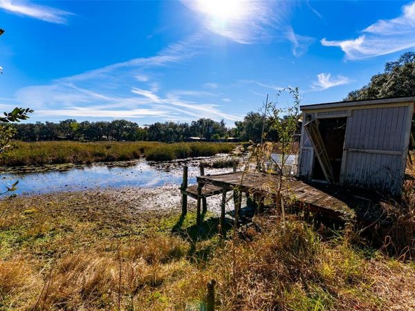 24971 NE 135TH STREET, SALT SPRINGS, FL 32134