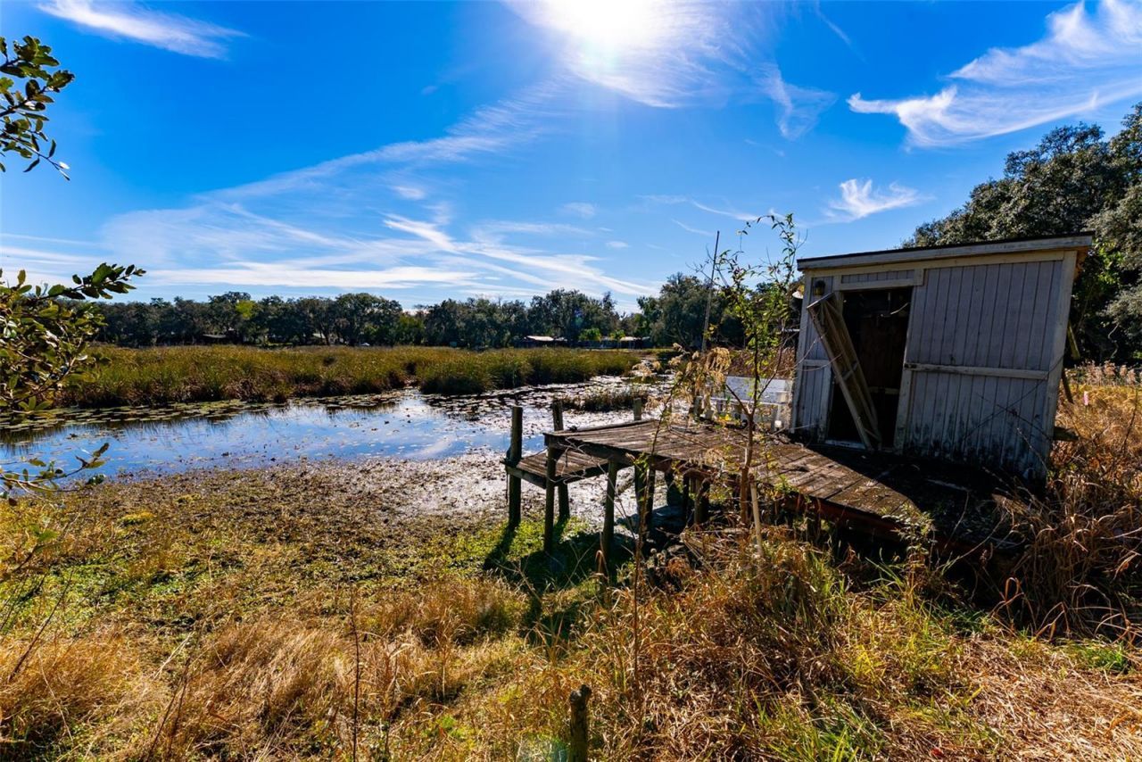 24971 NE 135th Street, Salt Springs, FL 32134 Photo