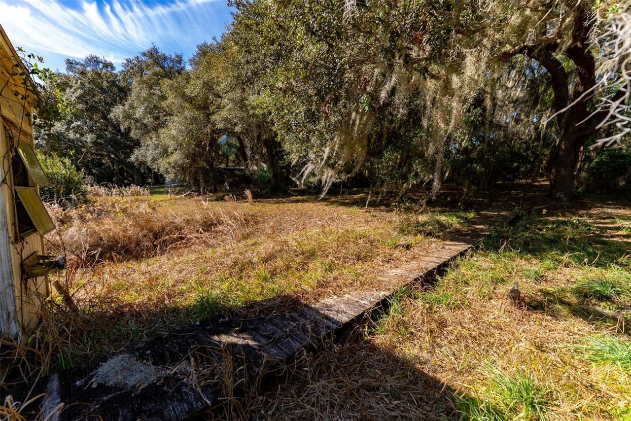 24971 NE 135th Street, Salt Springs, FL 32134 Photo