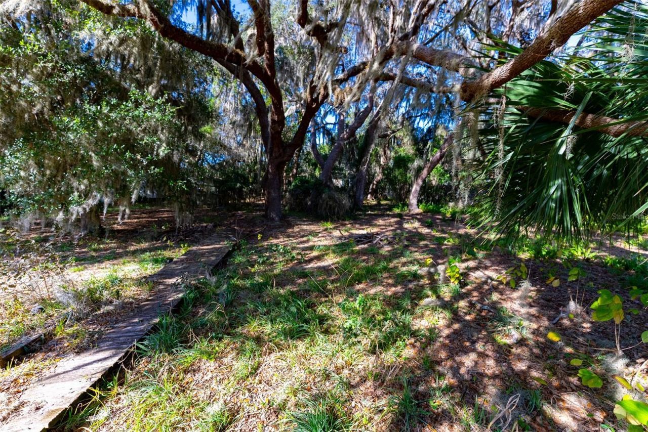 24971 NE 135th Street, Salt Springs, FL 32134 Photo