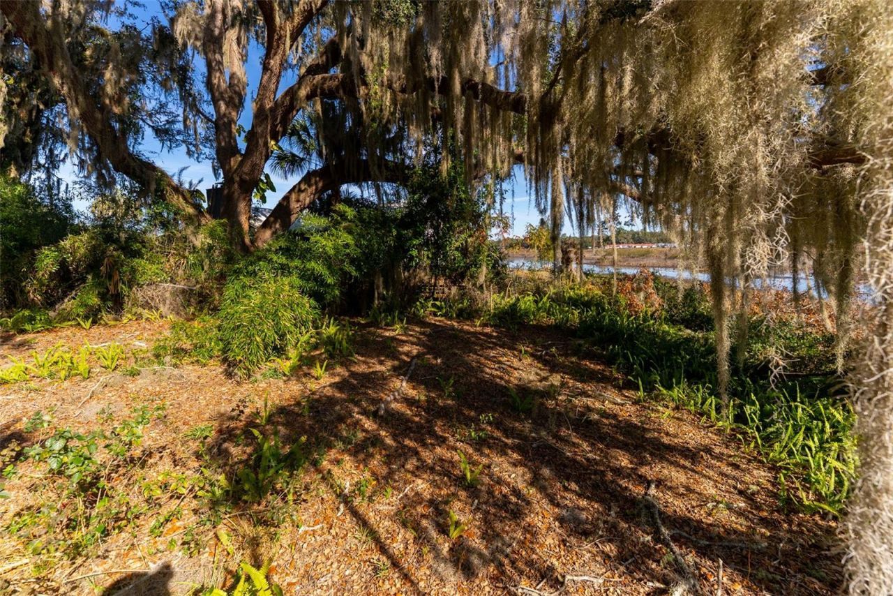 24971 NE 135th Street, Salt Springs, FL 32134 Photo