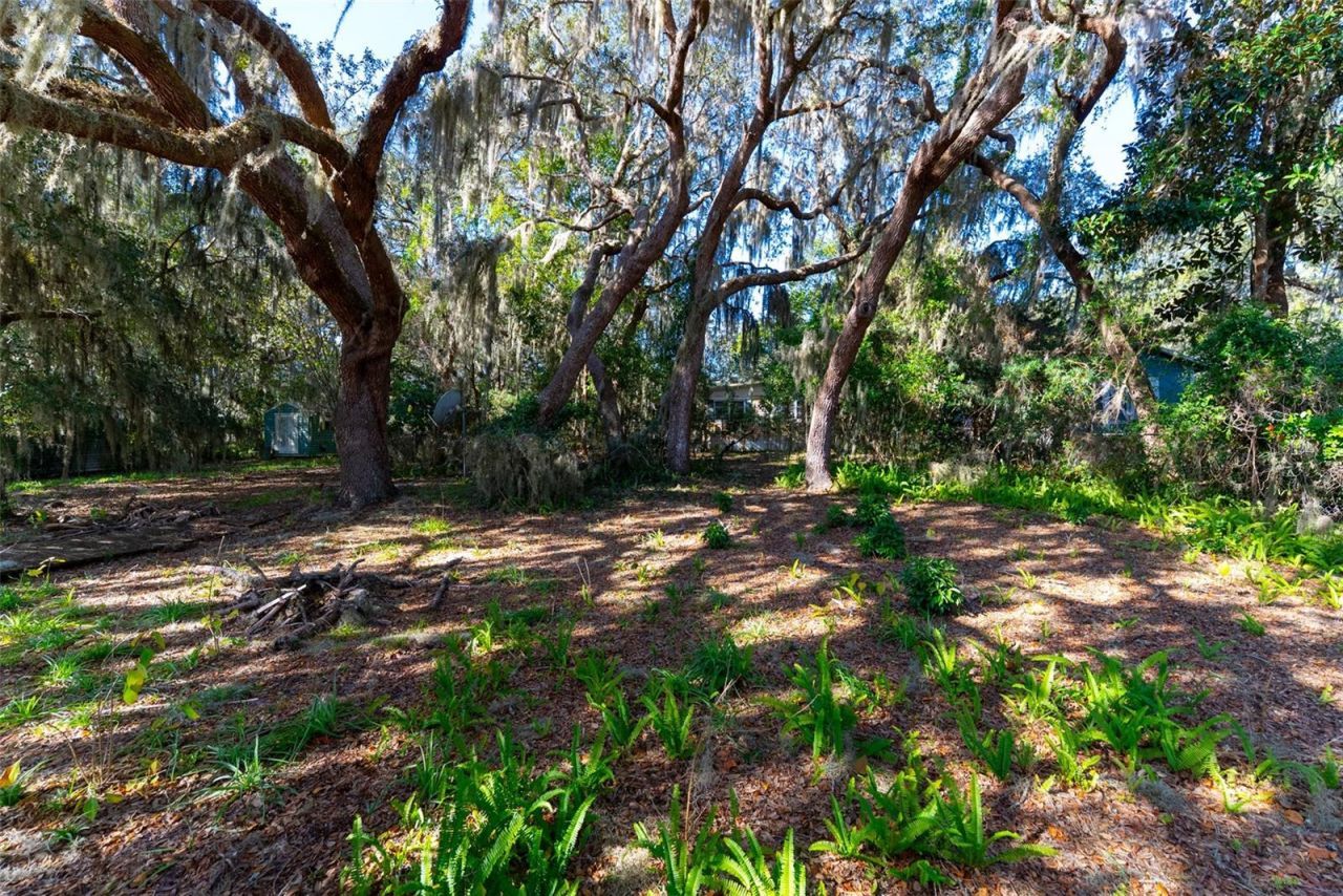 24971 NE 135th Street, Salt Springs, FL 32134 Photo