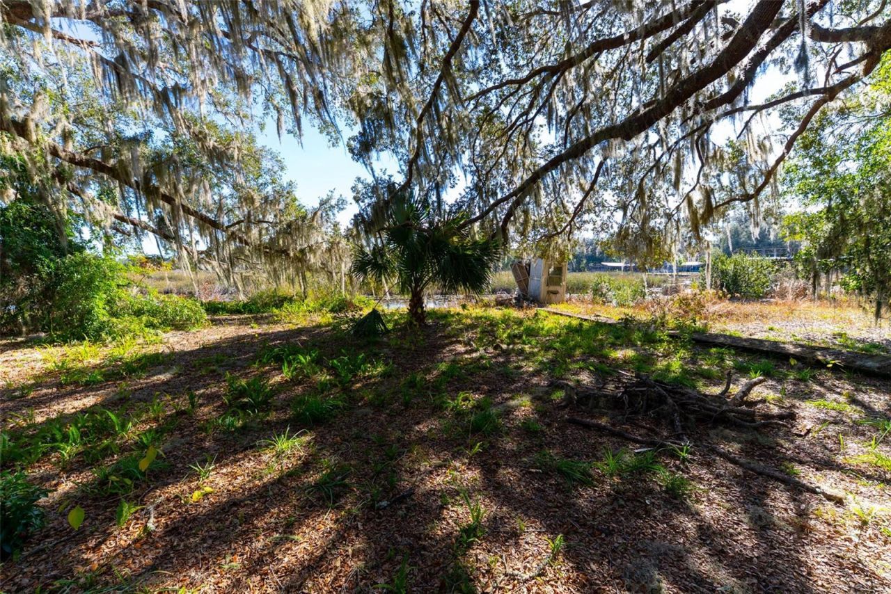24971 NE 135th Street, Salt Springs, FL 32134 Photo