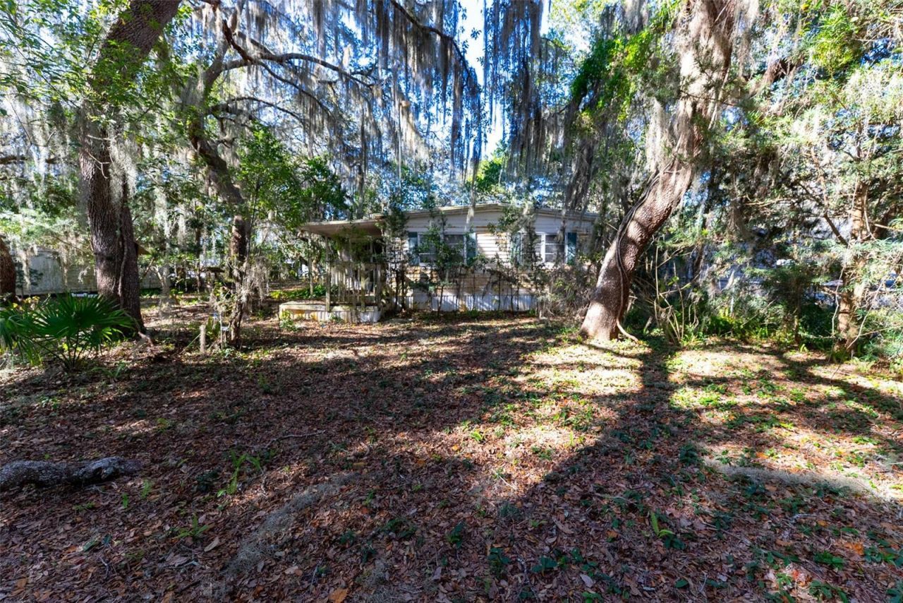 24971 NE 135th Street, Salt Springs, FL 32134 Photo