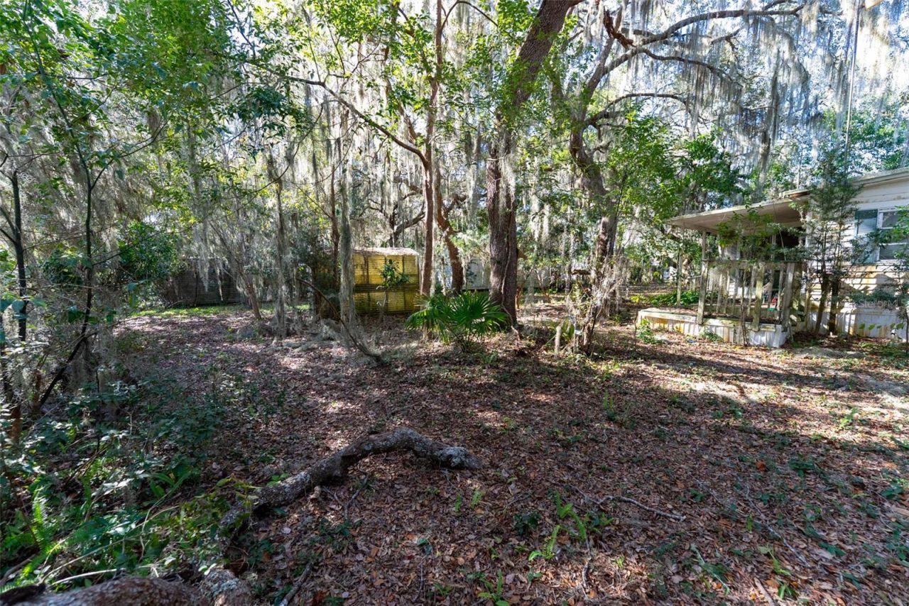 24971 NE 135th Street, Salt Springs, FL 32134 Photo