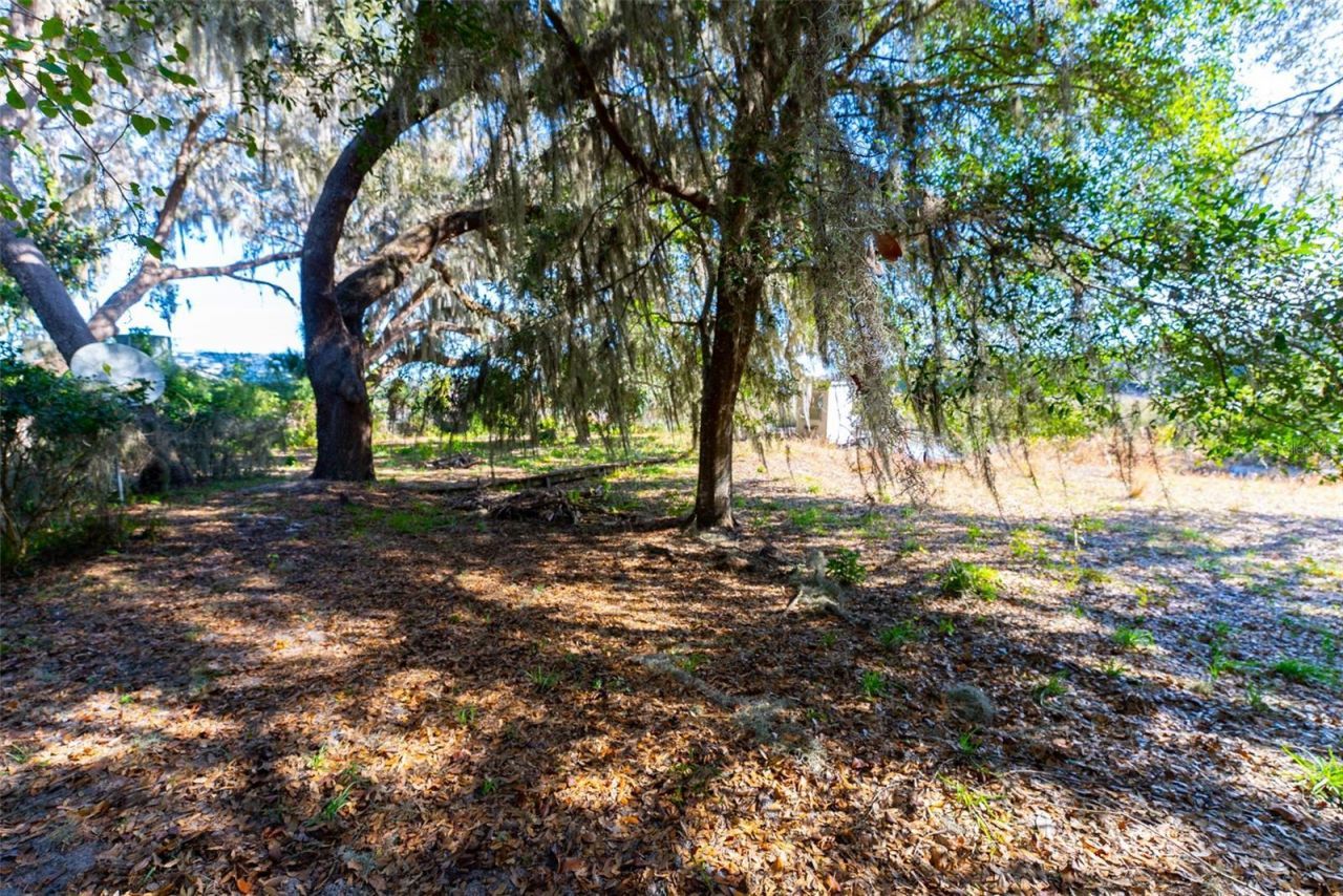 24971 NE 135th Street, Salt Springs, FL 32134 Photo